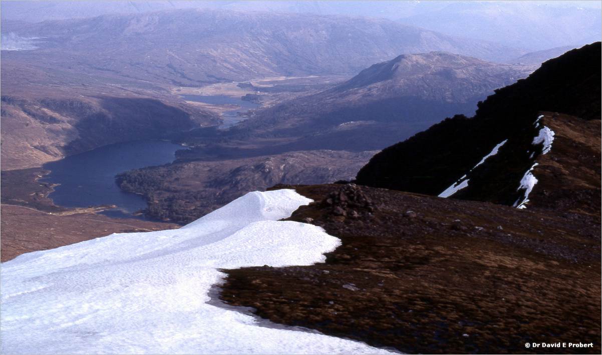 image009