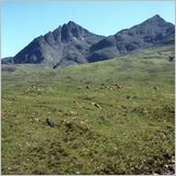 Click to enlarge image of Scottish Peak