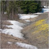 Click to enlarge photo - Stockholm, and the Skiing Resort of Are-Duved in beautiful Central Sweden - early May 2007