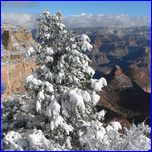 Click to enlarge Valentina's Photo from South Rim Grand Canyon and Joshua Tree National Parks.