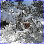 Click to enlarge Valentina's Photo from South Rim Grand Canyon and Joshua Tree National Parks.