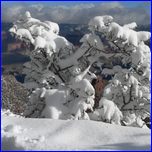 Click to enlarge Valentina's Photo from South Rim Grand Canyon and Joshua Tree National Parks.