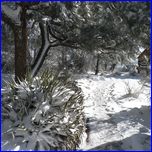 Click to enlarge Valentina's Photo from South Rim Grand Canyon and Joshua Tree National Parks.