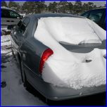 Click to enlarge Valentina's Photo from South Rim Grand Canyon and Joshua Tree National Parks.