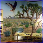 Click to enlarge Valentina's Photo from South Rim Grand Canyon and Joshua Tree National Parks.