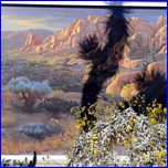 Click to enlarge Valentina's Photo from South Rim Grand Canyon and Joshua Tree National Parks.