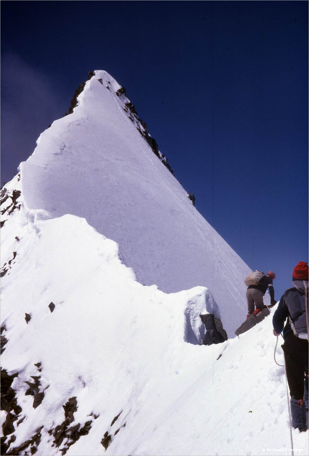 v1image10