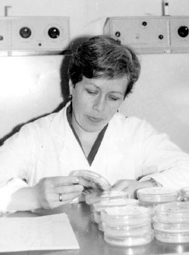 N. Mozgova