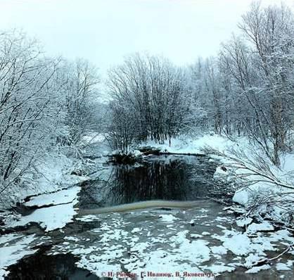 c1.jpg (44344 bytes)