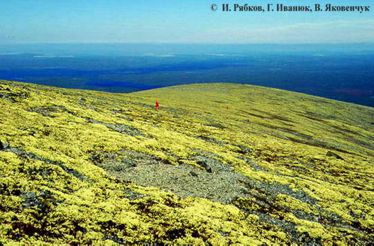 sm39.jpg (26529 bytes)