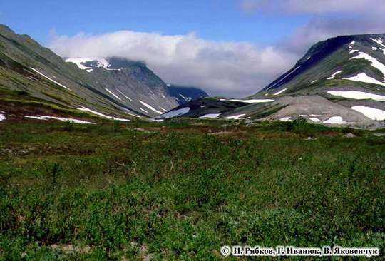 sm50.jpg (28135 bytes)