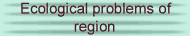 Eco-problems of region