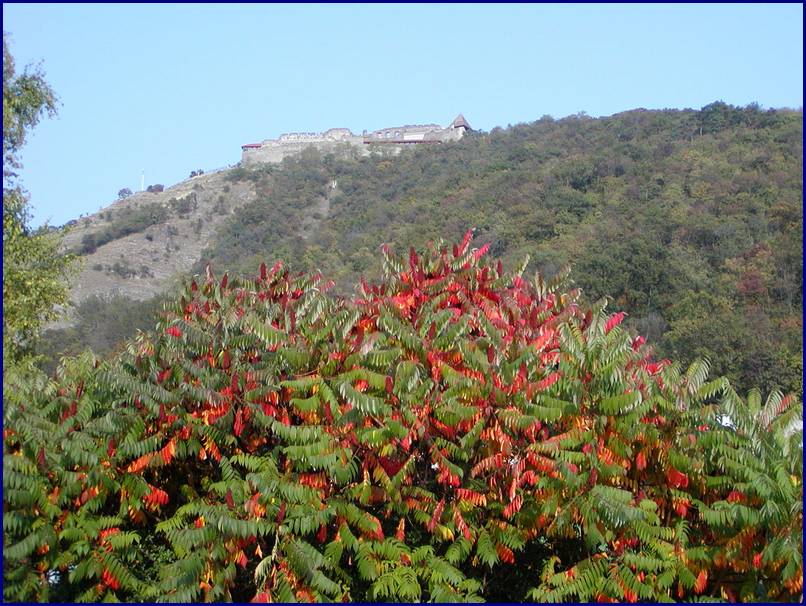 PA070285