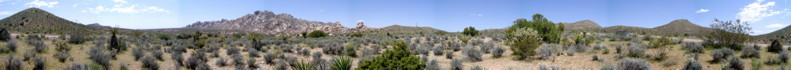 View across the Mojave Desert and the Joshua Trees and Cactus just South of the Kelso Railway Junction and famous Sand Dunes