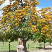 Click to enlarge photo - South Africa - Cape Town to Grahamstown and back - 2000 miles.