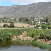 Click to enlarge photo - South Africa - Cape Town to Grahamstown and back - 2000 miles.