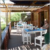 Click to enlarge photo - South Africa - Cape Town to Grahamstown and back - 2000 miles.