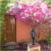 Click to enlarge photo - South Africa - Cape Town to Grahamstown and back - 2000 miles.