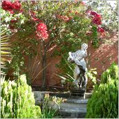 Click to enlarge photo - South Africa - Cape Town to Grahamstown and back - 2000 miles.