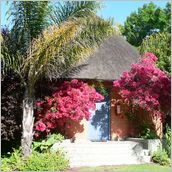 Click to enlarge photo - South Africa - Cape Town to Grahamstown and back - 2000 miles.