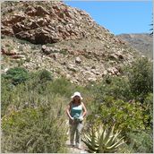 Click to enlarge photo - South Africa - Cape Town to Grahamstown and back - 2000 miles.
