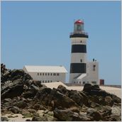 Click to enlarge photo - South Africa - Cape Town to Grahamstown and back - 2000 miles.