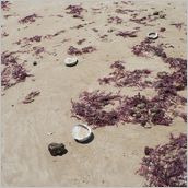 Click to enlarge photo - South Africa - Cape Town to Grahamstown and back - 2000 miles.