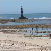 Click to enlarge photo - South Africa - Cape Town to Grahamstown and back - 2000 miles.