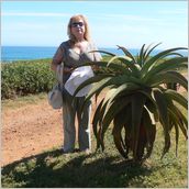 Click to enlarge photo - South Africa - Cape Town to Grahamstown and back - 2000 miles.