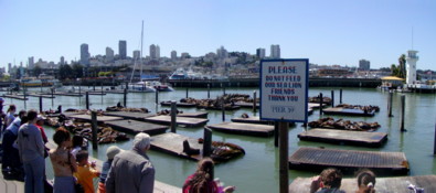 View of the Sales and Tourists - All enjoying the springtime sunshine!