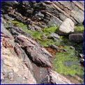 Click to enlarge image of the Torridon Region in North-West Scotland