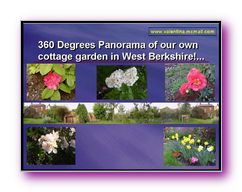 Click to enlarge Slide Image - Multi-Media Commerce & eBusiness for the 21st Century