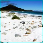 Click to Enlarge South African Photo]
