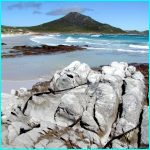 Click to Enlarge South African Photo]