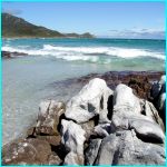 Click to Enlarge South African Photo]