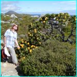 Click to Enlarge South African Photo]