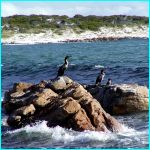 Click to Enlarge South African Photo]