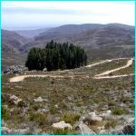 Click to Enlarge South African Photo]