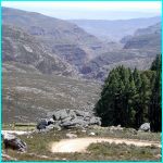 Click to Enlarge South African Photo]