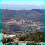 Click to Enlarge South African Photo]