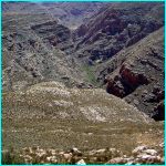 Click to Enlarge South African Photo]