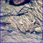 Click to enlarge image