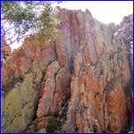 Click to enlarge image