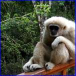 Click to enlarge image