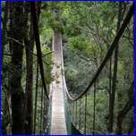 Click to enlarge image