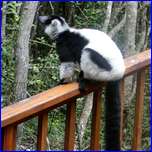 Click to enlarge image