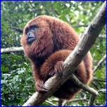 Click to enlarge image