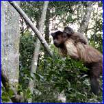 Click to enlarge image