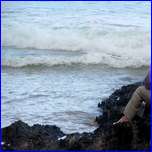 Click to enlarge image