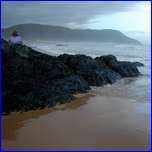 Click to enlarge image